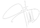 gap quality firma